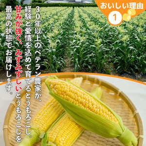 とうもろこし 5kg スイートコーン おおもの とうもろこし