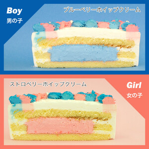 ケーキ ジェンダーリビール 5号 クリームの色が選べる