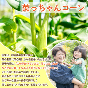 とうもろこし みらい 約4kg 12～18本 コーン スイートコーン とうもろこし 