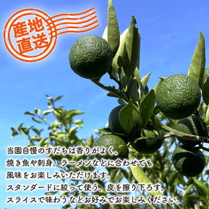 すだち 1kg 徳島 すだち すだち 柑橘 すだち