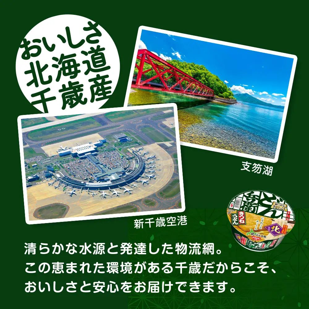 【 定期便 3カ月 】日清 北のどん兵衛 きつねうどん [ 北海道 仕様]24個