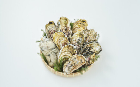 『殻付き牡蠣 (生食用) 10個 & むき身牡蠣 (加熱用) 250g セット』 一本松牡蠣