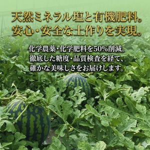 【先行予約】 福賀 すいか 秀大 約9〜10kg 圧巻の大玉＆シャリシャリ食感 高糖度 山口県 阿武町産 1個（希少1株1玉栽培） 産地直送 【2026年7月上旬～順次発送予定】
