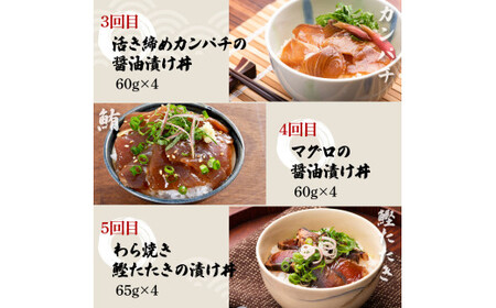 【5回定期便】土佐の海鮮丼セット（ブリ・タイ・カンパチ・マグロ・カツオ）各4Pずつ 漬け丼の素 鰤 ぶり 鯛 たい 鮪 まぐろ 鰹 かつお かんぱち 新鮮 魚 おかず【企業組合　宇佐もん工房】 [BQAB024]