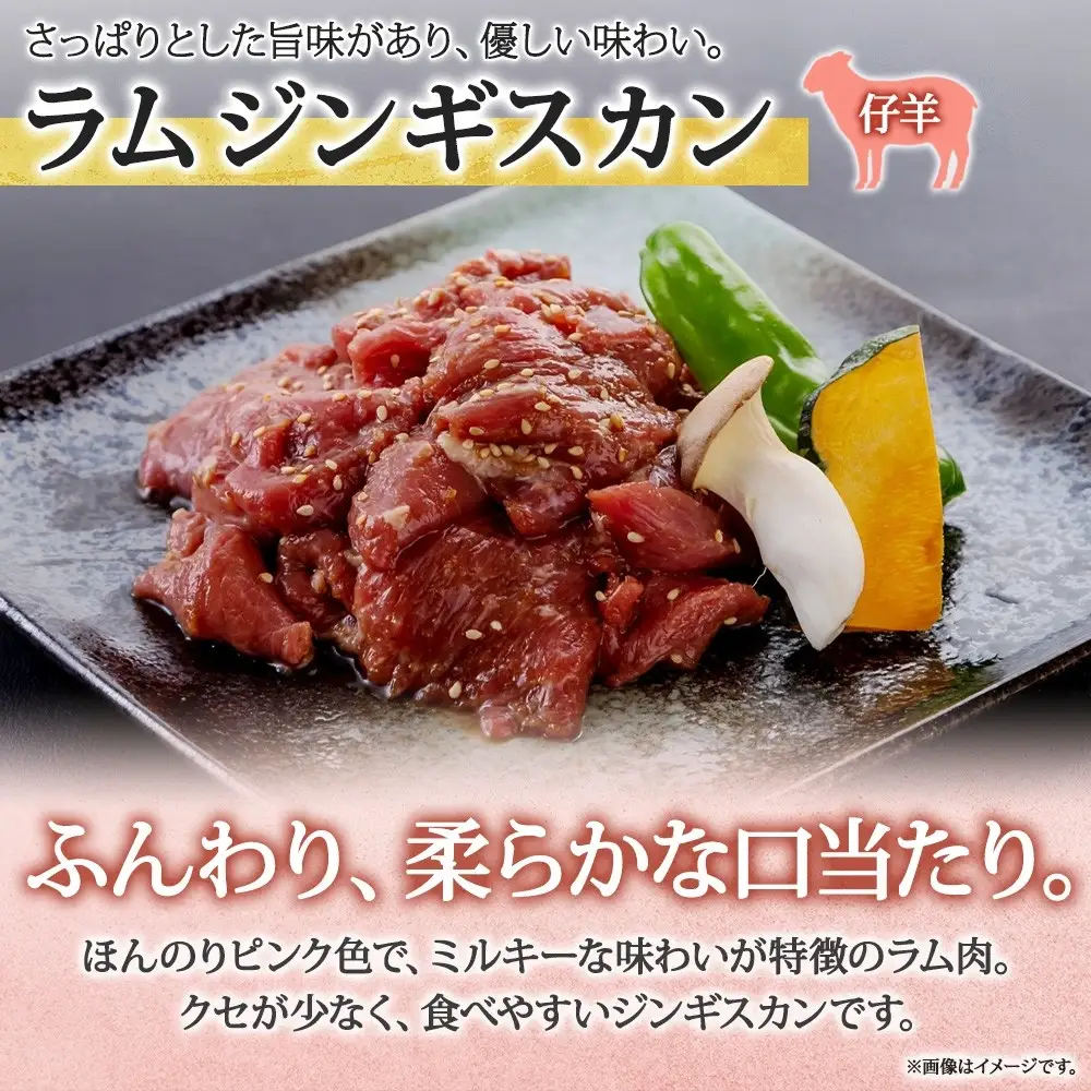 長野県 不動温泉 さぎり荘 謹製 ジンギスカン 2種 食べ比べ セット マトン ラム 各250g×1袋 計500g 羊 味付 焼肉 BBQ  小分け お取り寄せ 産地直送 信州新町 送料無料 長野市 |ジンギスカン