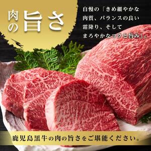鹿児島黒牛サーロインステーキセット【K-105】（200ｇ）×2