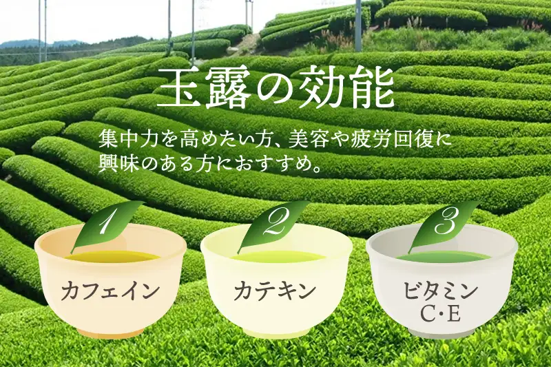 有機宇治茶味わいセット（有機 オーガニック 玉露 煎茶