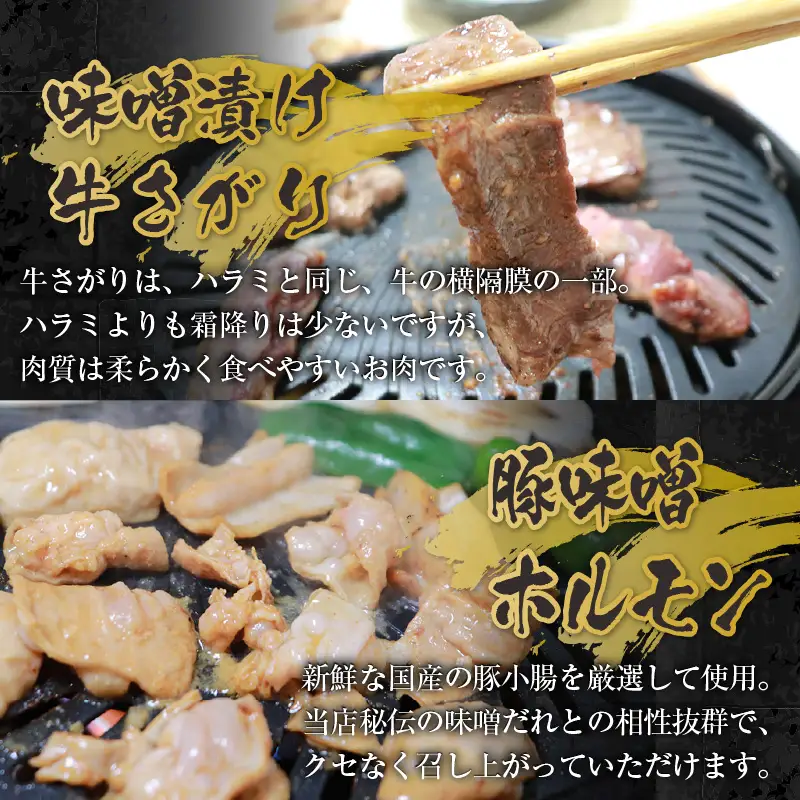 越前ホルモン屋 味噌漬け 人気ホルモンセット（計1kg）約8～10人前 ／ 味付け肉 豚肉 牛肉 小分け タレ漬け 焼肉 バーベキュー 冷凍 人気 キャンプ飯 BBQ 焼くだけ 時短調理 [aw001-a011]