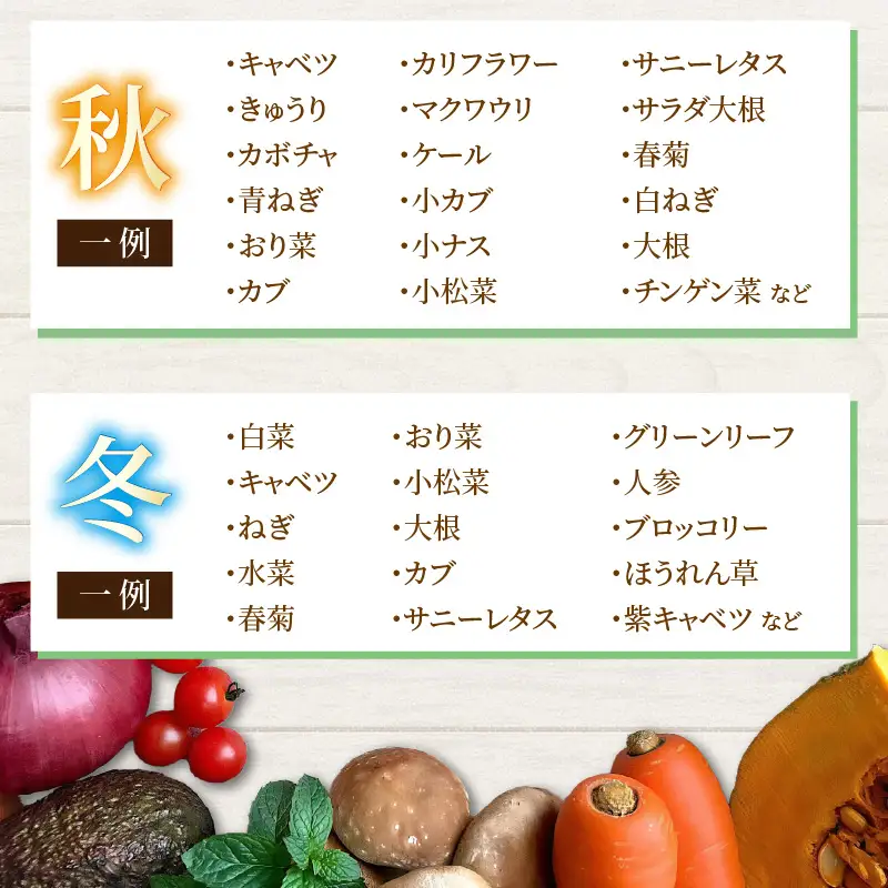 【3ヶ月連続お届け】農家直送 旬の野菜セット 7品目以上 1箱 ／ 定期便 3回 季節 野菜 ボックス BOX セット セレクト 農家 おまかせ 多品目 旬 詰め合わせ 根菜 葉物 [aw028-a001]