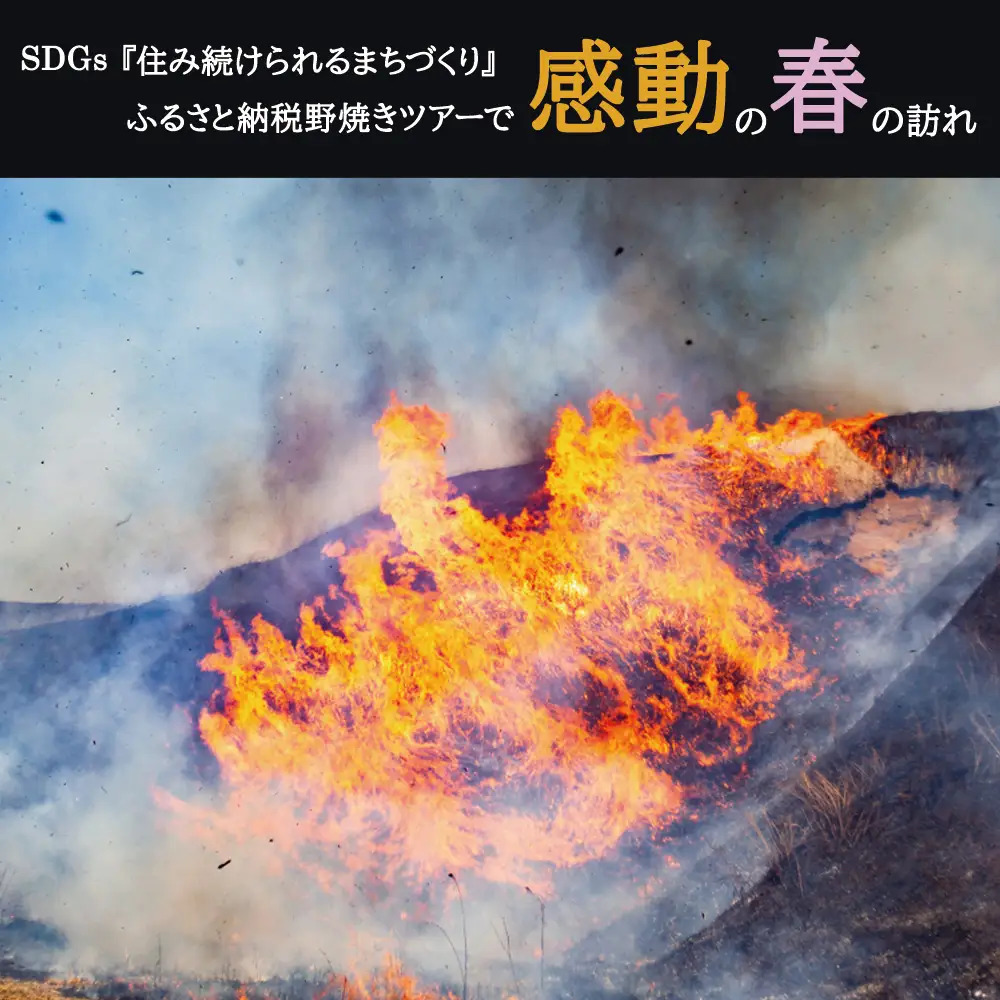 阿蘇市野焼き体験ツアー