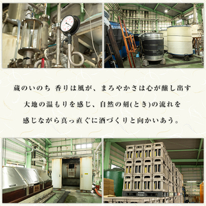 むぎ大将パック(計10.8L・1.8L×6本)大分むぎ焼酎 1800ml お酒 むぎ焼酎 麦焼酎 紙パック 常温【100100201】【縣屋酒造】