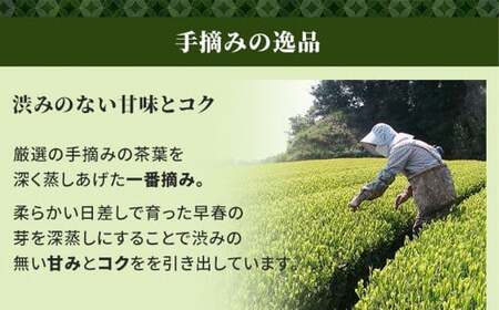 静岡茶 たっぷり 1.2kg（7種 12袋）逸品 深蒸し茶 お茶 お茶セット 緑茶 深蒸し煎茶 高級煎茶 荒茶 くき茶 静岡緑茶 日本茶 粉茶