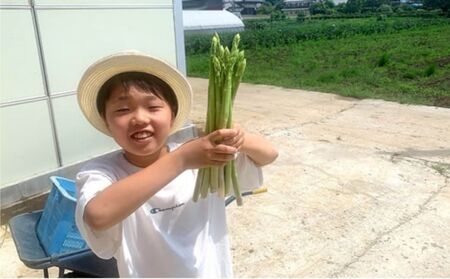 【7月発送分】千姫アスパラガス 丁寧にすべてを手作業で丹精を込めて作りあげた 自信のアスパラガス ※2026年7月～発送