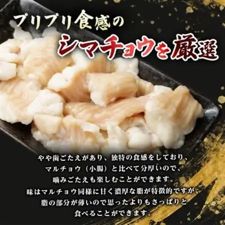 訳あり!博多味噌もつ鍋　10人前(2人前×5セット)_肉 もつ鍋 牛肉 鍋 鍋セット  惣菜・加工品 肉 鍋 なべ ナベ_【配送不可地域：離島】【1507759】