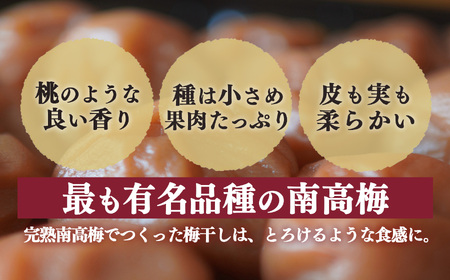 【堀内果実園】【訳あり】特別栽培・大切に育てた完熟南高梅（5kg） | 果実 旬 奈良県 五條市
