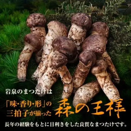 【2026秋発送】【訳アリ】 岩泉まつたけ  300g　家庭用にどうぞ_野菜 松茸 きのこ まつたけ マツタケ_【配送不可地域：離島】【1423709】