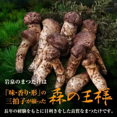 【2026秋発送】≪産地直送≫　岩泉まつたけ 250g_野菜 松茸 きのこ まつたけ マツタケ_【配送不可地域：離島】【1423712】