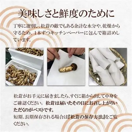 【2026秋発送】松茸マイスター厳選!旬の岩泉産松茸　150g(前後)_野菜 松茸 きのこ まつたけ マツタケ_【配送不可地域：離島】【1516080】
