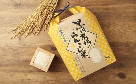 【11ヶ月定期便】 らんこし米 ゆめぴりか 5kg 合計 55kg （黒川農場）【2024年10月下旬発送開始】 お米 米 コメ 白米 精米 ご飯 北海道 蘭越町