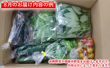 訳あり もったいない野菜 野菜セット 5種類程度