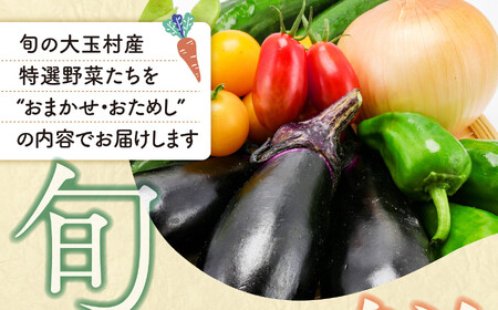 野菜セット 10種類前後【先行予約】 野菜
