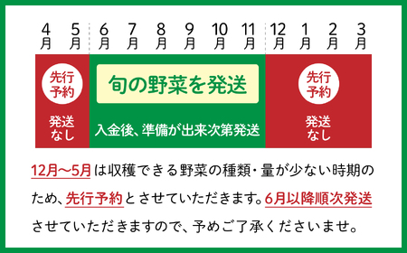 野菜セット 【先行予約】フルーツ入り野菜10種類入り 野菜セット 野菜セット 野菜セット