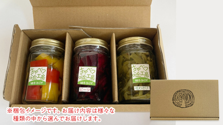 ピクルス 3種 の セット [AB080tu]