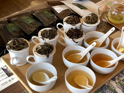 茶園見学ツアー3名様チケット _BM07