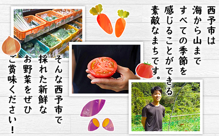 ＜せいよのうまいもんセット 3回定期便＞ 西予市産 愛媛県産 国産 旬 季節の野菜 やさい おまかせ 詰め合わせ 5～7品目 お楽しみ 特産品 百姓百品株式会社 愛媛県 西予市 【冷蔵】『1か月以内に第1回目を順次出荷予定』NHH0005
