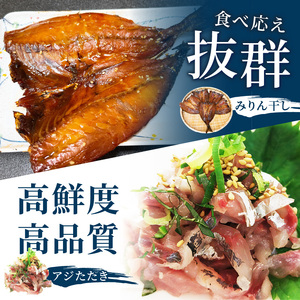 「青のまち 松浦」アジ堪能コース定期便全3回【2ヶ月毎配送】( 真アジ 鯵 アジ あじ アジフライ おかず つまみ 揚げ物 魚 魚介類 海の幸 鮮魚 おつまみ 一品長崎県 松浦市 ふるさと納税 )【D1-033】