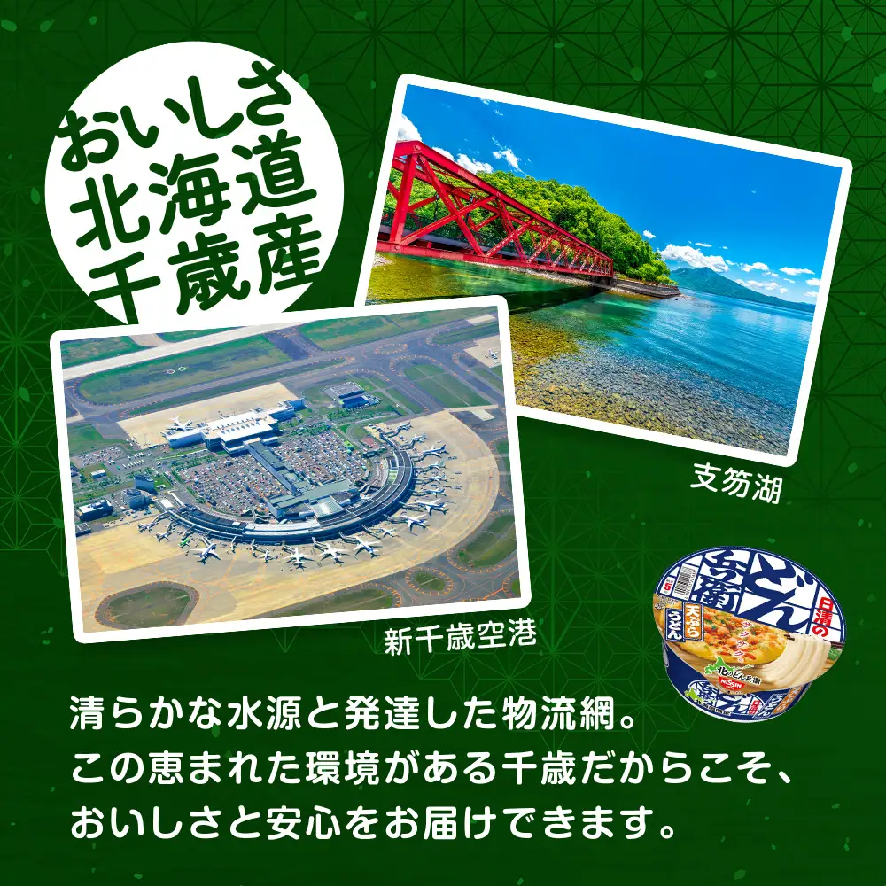 【定期便3カ月】日清 北のどん兵衛 天ぷらうどん [北海道仕様]24個