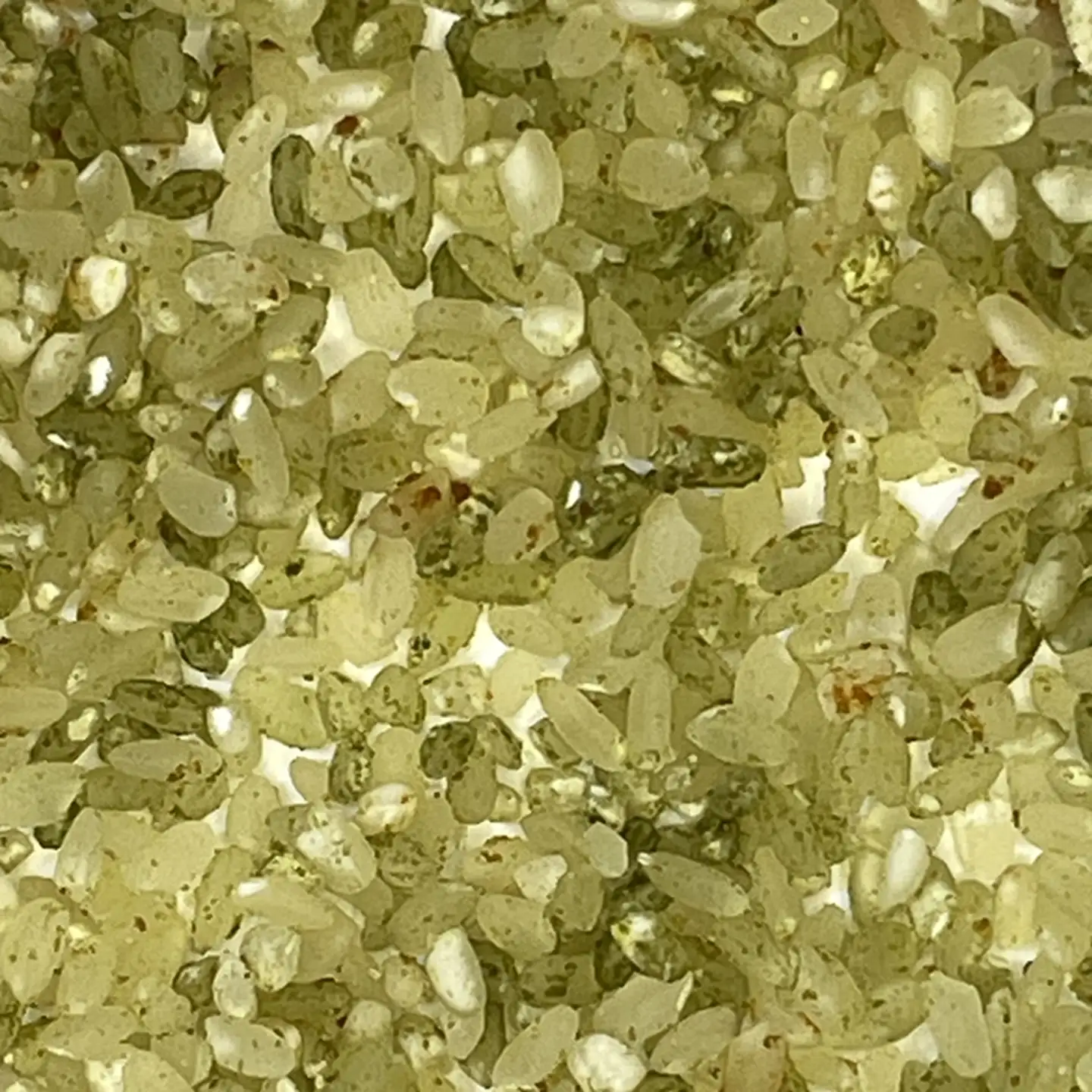 毎日の食べる健康習慣!! 野菜サポート米 300g：B115-001
