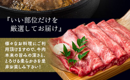 【毎月定期便】【A4～A5】博多和牛しゃぶしゃぶすき焼き用 500g 全12回　AO020