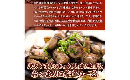 はかた地どり炭火焼セット500g(100g×5p)　AO043