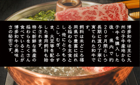 【A4～A5】博多和牛サーロインしゃぶしゃぶすき焼き用 300g　AO046