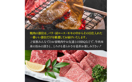 博多和牛焼肉用　1ｋｇ（500ｇ×2ｐ）　AO125