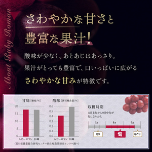 【先行予約】ルビーロマン 1房 500g（2026年8月中旬～9月上旬頃順次発送） ぶどう ブドウ 大粒 先行予約 予約 冷蔵配送 くだもの 果物 フルーツ ご当地 食品 F6P-2104
