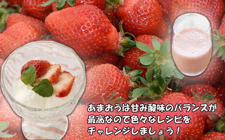 摘みたて瞬間★冷凍あまおう小分けパック1kg（250g×4P）[H0106]