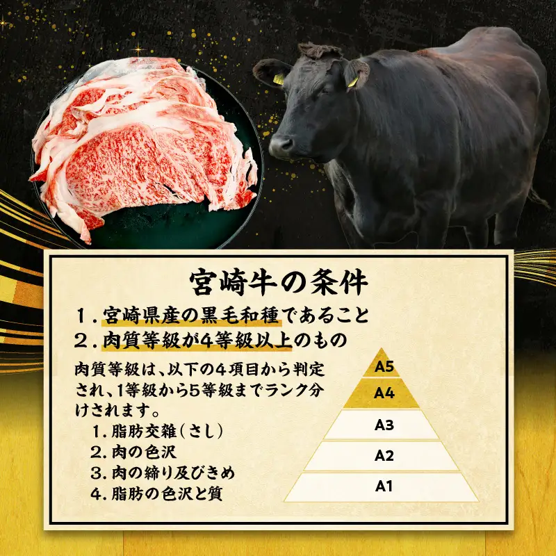 牛肉 しゃぶしゃぶ 牛肉[宮崎牛 サーロイン 500g]