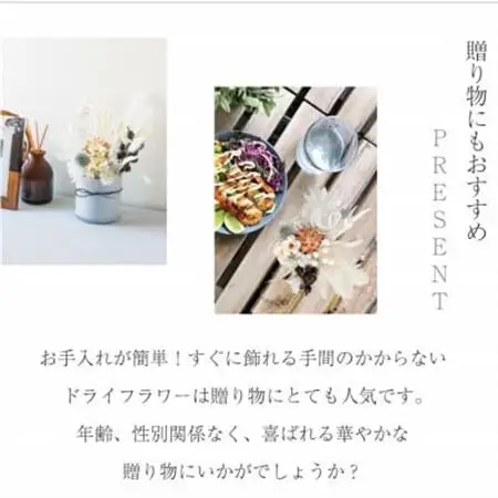 ドライフラワー「セレンホワイト」 おしゃれ そのまま飾れる シンプルで美しいアレンジ【1517013】