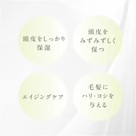 プテロ　ARシャンプー 300ml_美容 シャンプー・リンス  _【1516148】