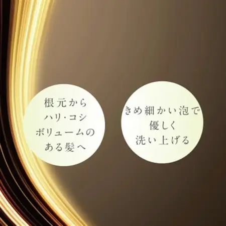 プテロ　ARシャンプー　グランディール　300ml_美容 シャンプー・リンス  _【1516153】
