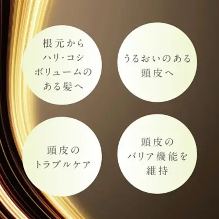 プテロ　ARヘア＆スカルプパック　グランディール_美容   _【1516158】