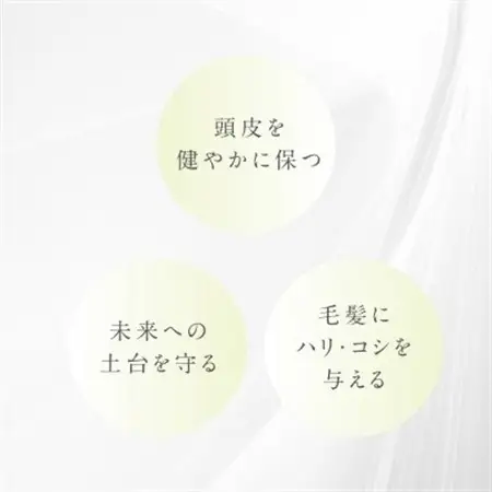 プテロ　ARエッセンスplus+_美容   _【1516159】
