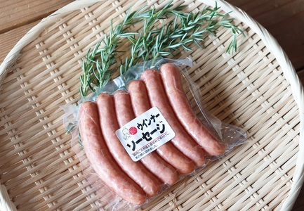 (12037)風の家 手作り 粗挽き ウインナー ポークウインナー 180g×10パック 6本入り 長門市 日置 
