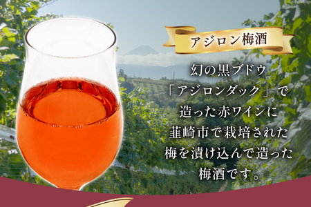 梅酒 やや甘口 アジロン梅酒 500ml 酒 リキュール 梅酒 [本坊酒造 マルス穂坂ワイナリー 山梨県 韮崎市 20742611]