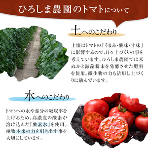 ＜先行予約受付開始！2026年3月下旬から順次発送予定＞フルーツトマト(2kg)トマト 野菜 期間限定 数量限定【110000201】【ひろしま農園】