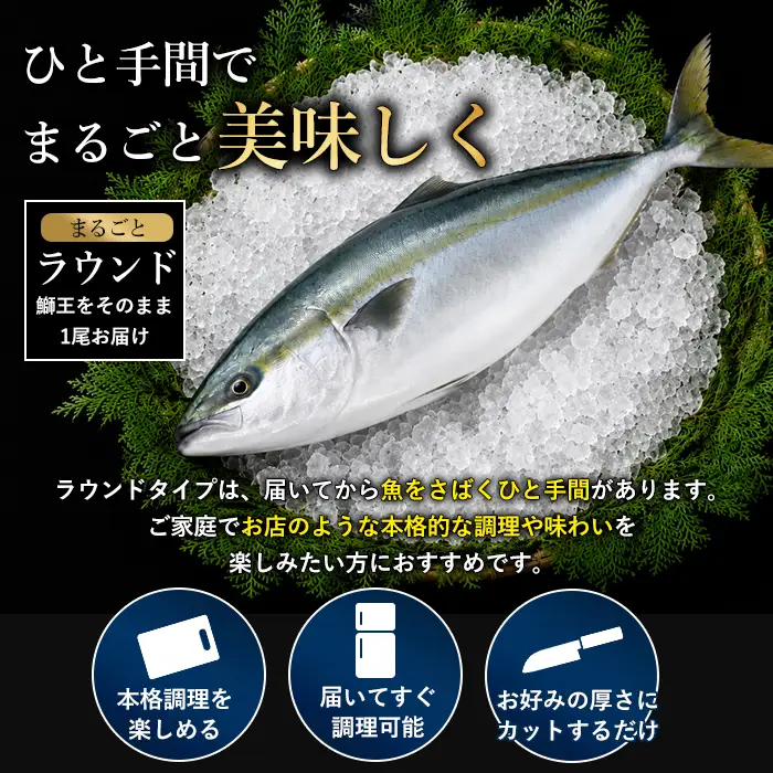 【10月以降順次発送】テレビで紹介ぶりの王様「 鰤王 」 まるごと 1本 ラウンド 先行予約 産地直送 長島町 特産品 ブランド 鰤 冷蔵 ふるさと納税 ぶり 刺身 ぶりしゃぶ ぶり大根 海鮮丼【JFA】jfa-7115