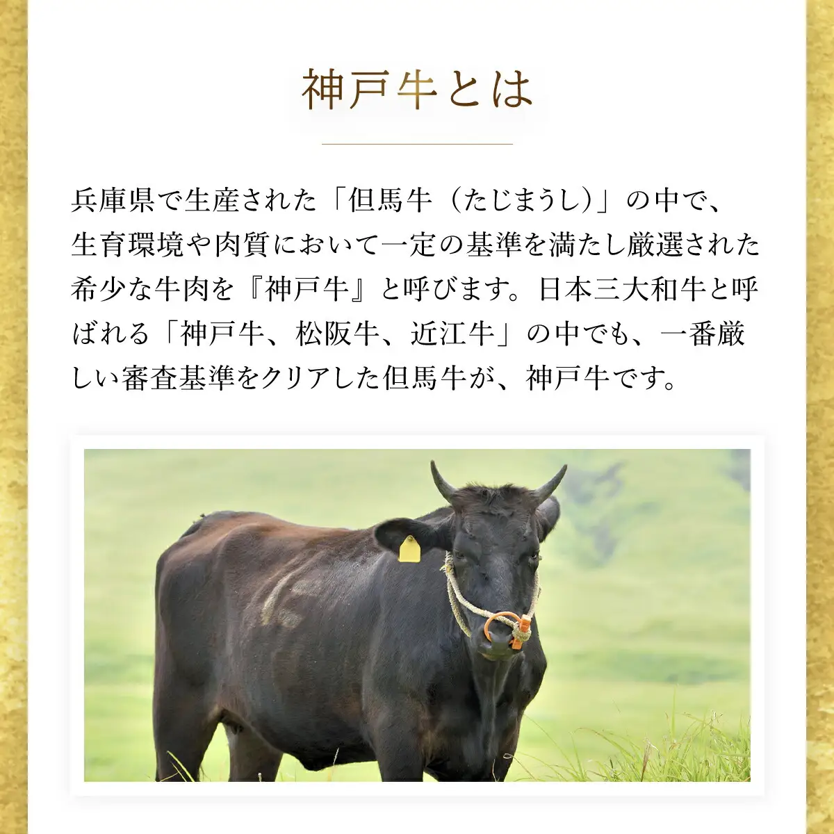 神戸牛 赤身しゃぶしゃぶすき焼き 250g (AG044) 兵庫県 朝来市 AS36BB55 神戸牛 神戸ビーフ 神戸肉 黒毛和牛 国産和牛 ブランド和牛 牛肉 牛 肉 お肉 おにく 赤身 しゃぶしゃぶ しゃぶしゃぶ用 しゃぶしゃぶ肉 すき焼き すきやき すき焼き用 すきやき用 すき焼き肉 すきやき肉 牛しゃぶ 牛しゃぶしゃぶ 牛すき 牛すき焼き 牛すきやき 薄切り うす切り うすぎり