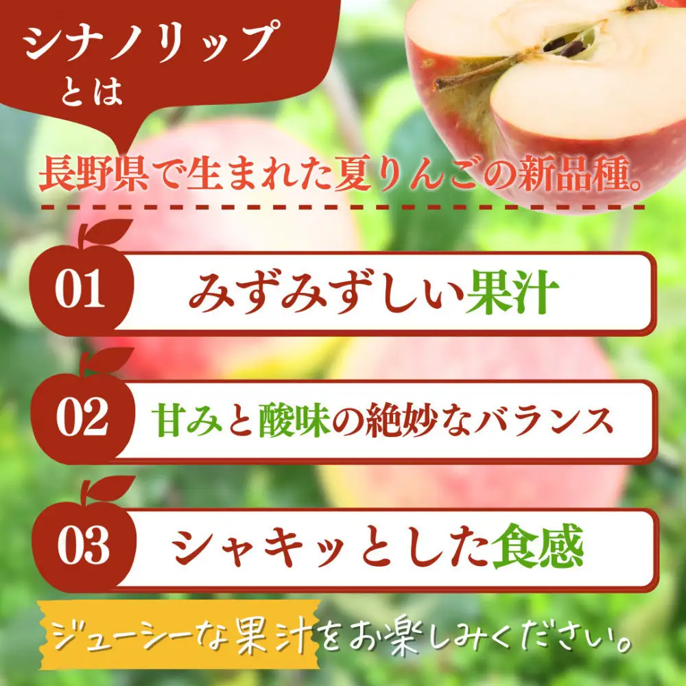 【8月中旬発送 先行予約】樹上熟成　シナノリップ 5kg | りんご 樹上完熟 シナノリップ 夏りんご